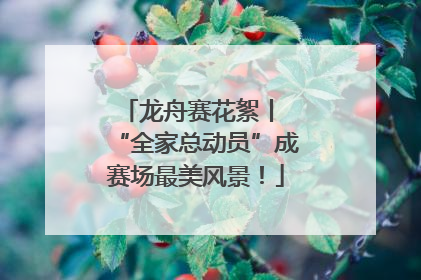 龙舟赛花絮丨 “全家总动员”成赛场最美风景！