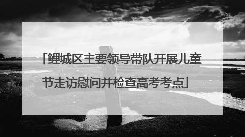 鲤城区主要领导带队开展儿童节走访慰问并检查高考考点