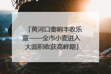 黄河口奏响丰收乐章——全市小麦进入大面积收获高峰期
