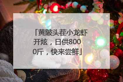 黄陂头茬小龙虾开炫，日供8000斤，快来尝鲜