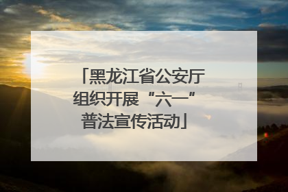 黑龙江省公安厅组织开展“六一”普法宣传活动