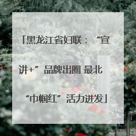 黑龙江省妇联：“宣讲+”品牌出圈 最北“巾帼红”活力迸发