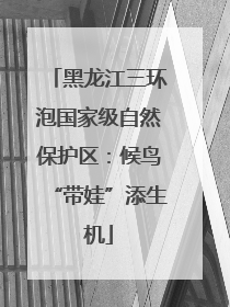 黑龙江三环泡国家级自然保护区：候鸟“带娃”添生机