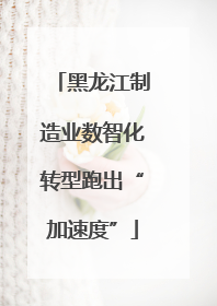 黑龙江制造业数智化转型跑出“加速度”
