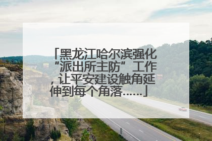 黑龙江哈尔滨强化“派出所主防”工作，让平安建设触角延伸到每个角落……