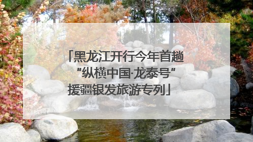 黑龙江开行今年首趟“纵横中国·龙泰号”援疆银发旅游专列