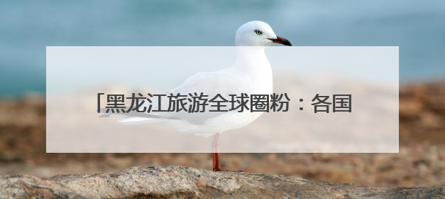 黑龙江旅游全球圈粉：各国旅行商“群聊”合作揽客