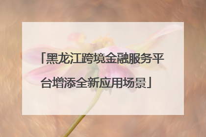 黑龙江跨境金融服务平台增添全新应用场景