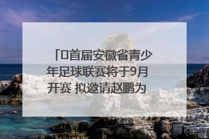 ﻿首届安徽省青少年足球联赛将于9月开赛 拟邀请赵鹏为先导赛开球