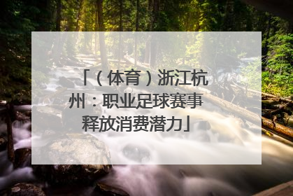 （体育）浙江杭州：职业足球赛事释放消费潜力