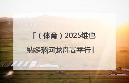 （体育）2025维也纳多瑙河龙舟赛举行