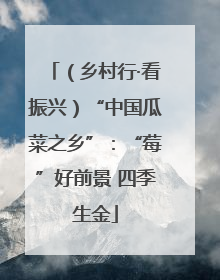 （乡村行·看振兴）“中国瓜菜之乡”：“莓”好前景 四季生金