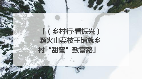 （乡村行·看振兴）一颗火山荔枝王铺就乡村“甜蜜”致富路