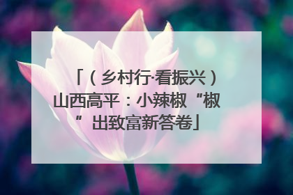 （乡村行·看振兴）山西高平：小辣椒“椒”出致富新答卷