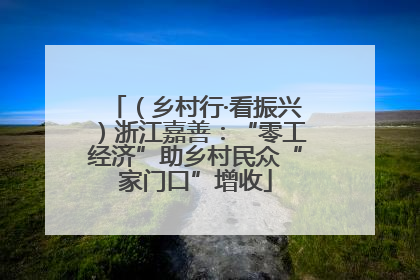 （乡村行·看振兴）浙江嘉善：“零工经济”助乡村民众“家门口”增收