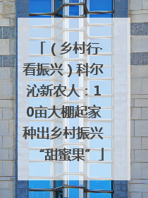 （乡村行·看振兴）科尔沁新农人：10亩大棚起家种出乡村振兴“甜蜜果”