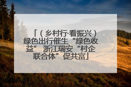 （乡村行·看振兴）绿色出行催生“绿色收益” 浙江瑞安“村企联合体”促共富