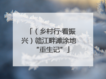 （乡村行·看振兴）赣江畔滩涂地“重生记”