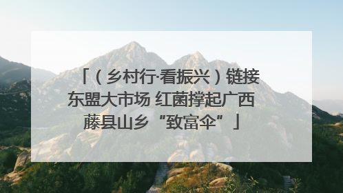 （乡村行·看振兴）链接东盟大市场 红菌撑起广西藤县山乡“致富伞”