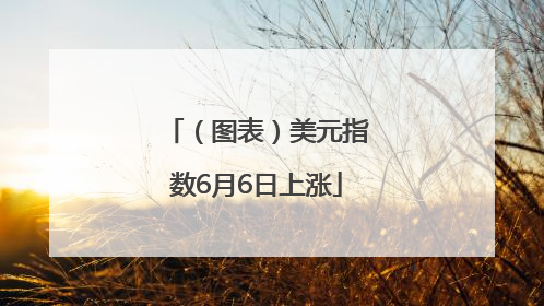 （图表）美元指数6月6日上涨