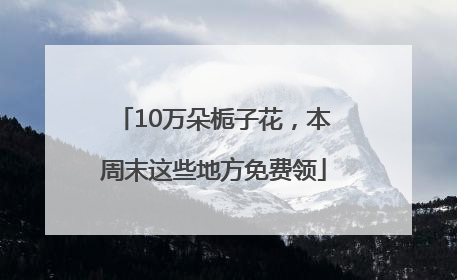 10万朵栀子花，本周末这些地方免费领