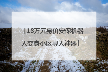 18万元身价安保机器人变身小区寻人神器