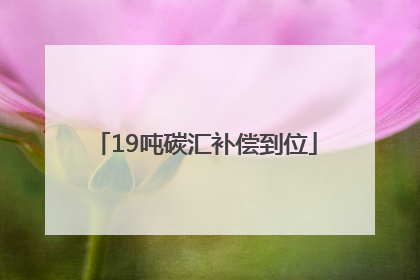 19吨碳汇补偿到位