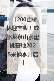 200亩桃林迎丰收！成都龙泉山水蜜桃基地2025采摘季开启