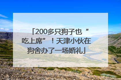 200多只狗子也“吃上席”！天津小伙在狗舍办了一场婚礼