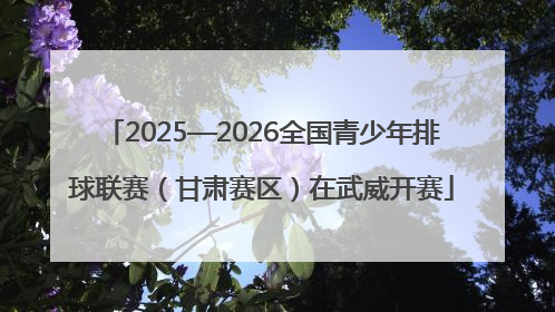 2025—2026全国青少年排球联赛（甘肃赛区）在武威开赛