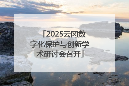 2025云冈数字化保护与创新学术研讨会召开