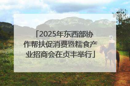 2025年东西部协作帮扶促消费暨糯食产业招商会在贞丰举行