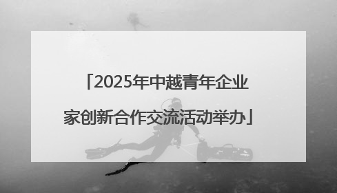 2025年中越青年企业家创新合作交流活动举办