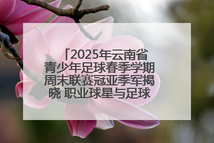 2025年云南省青少年足球春季学期周末联赛冠亚季军揭晓 职业球星与足球小将共享荣耀时刻