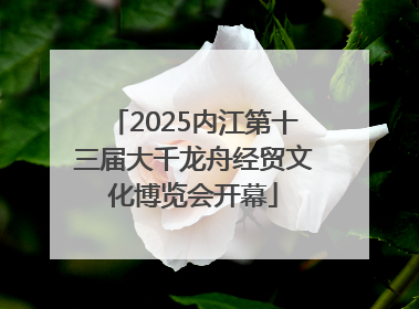 2025内江第十三届大千龙舟经贸文化博览会开幕