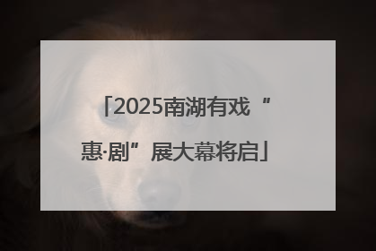 2025南湖有戏“惠·剧”展大幕将启