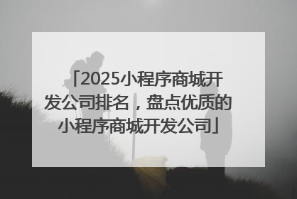 2025小程序商城开发公司排名，盘点优质的小程序商城开发公司