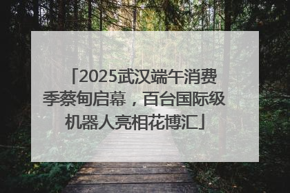 2025武汉端午消费季蔡甸启幕，百台国际级机器人亮相花博汇