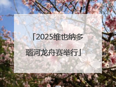 2025维也纳多瑙河龙舟赛举行