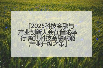 2025科技金融与产业创新大会在普陀举行 聚焦科技金融赋能产业升级之策