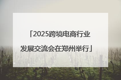 2025跨境电商行业发展交流会在郑州举行