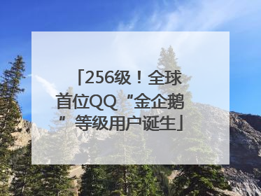 256级！全球首位QQ“金企鹅”等级用户诞生