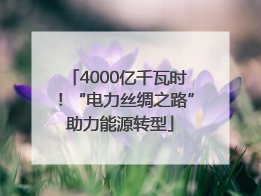 4000亿千瓦时！“电力丝绸之路”助力能源转型