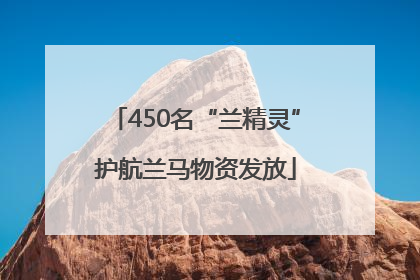 450名“兰精灵”护航兰马物资发放