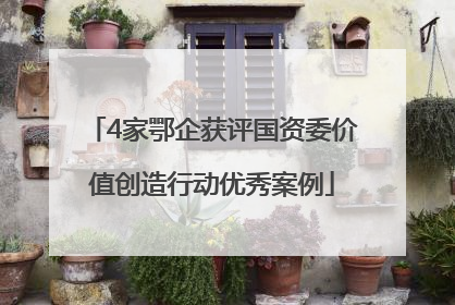 4家鄂企获评国资委价值创造行动优秀案例