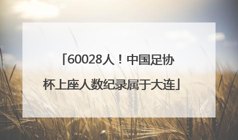 60028人！中国足协杯上座人数纪录属于大连