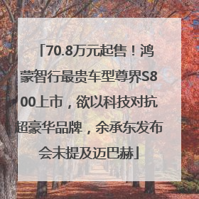 70.8万元起售！鸿蒙智行最贵车型尊界S800上市，欲以科技对抗超豪华品牌，余承东发布会未提及迈巴赫