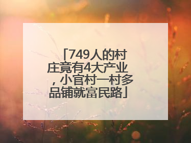 749人的村庄竟有4大产业，小官村一村多品铺就富民路