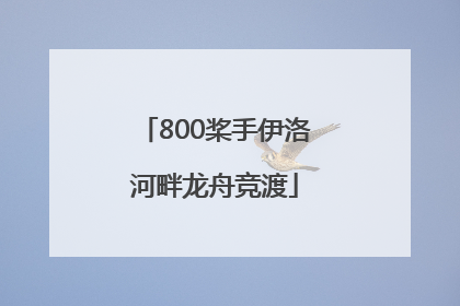 800桨手伊洛河畔龙舟竞渡