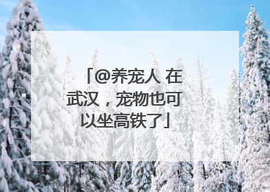 @养宠人 在武汉,宠物也可以坐高铁了